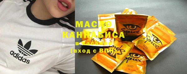 гидра Вязьма