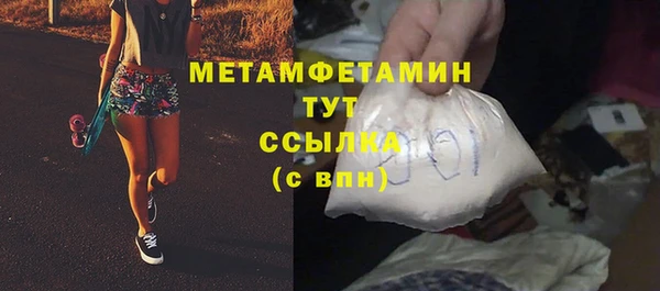 гидра Вязьма