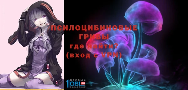 гидра Вязьма