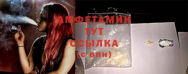 гидра Вязьма
