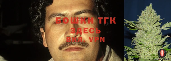 гидра Вязьма