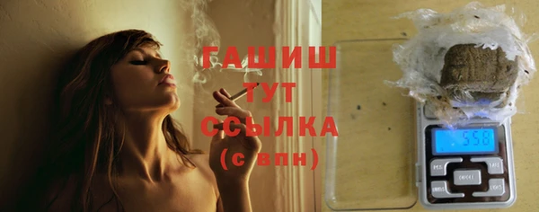 гидра Вязьма