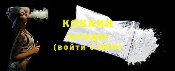 гидра Вязьма