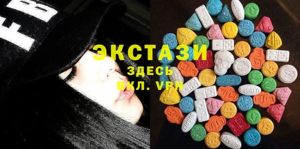 гидра Вязьма