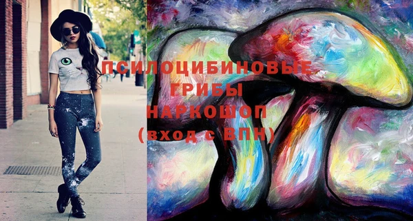 гидра Вязьма